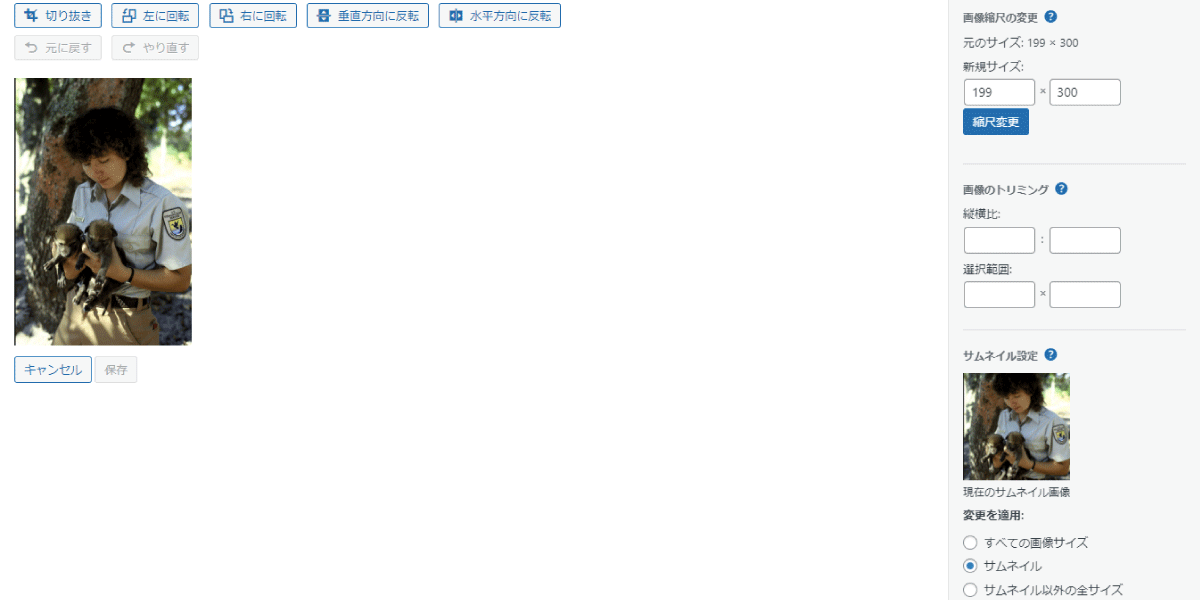 file