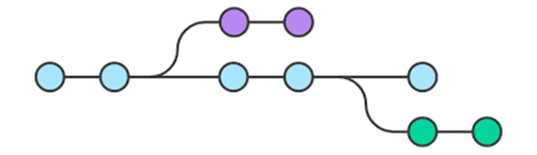 branch